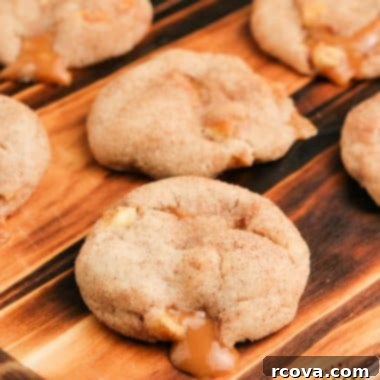 Caramel Apple Snickerdoodles 6 Delicious Caramel Apple Snickerdoodles, a perfect treat for fall.