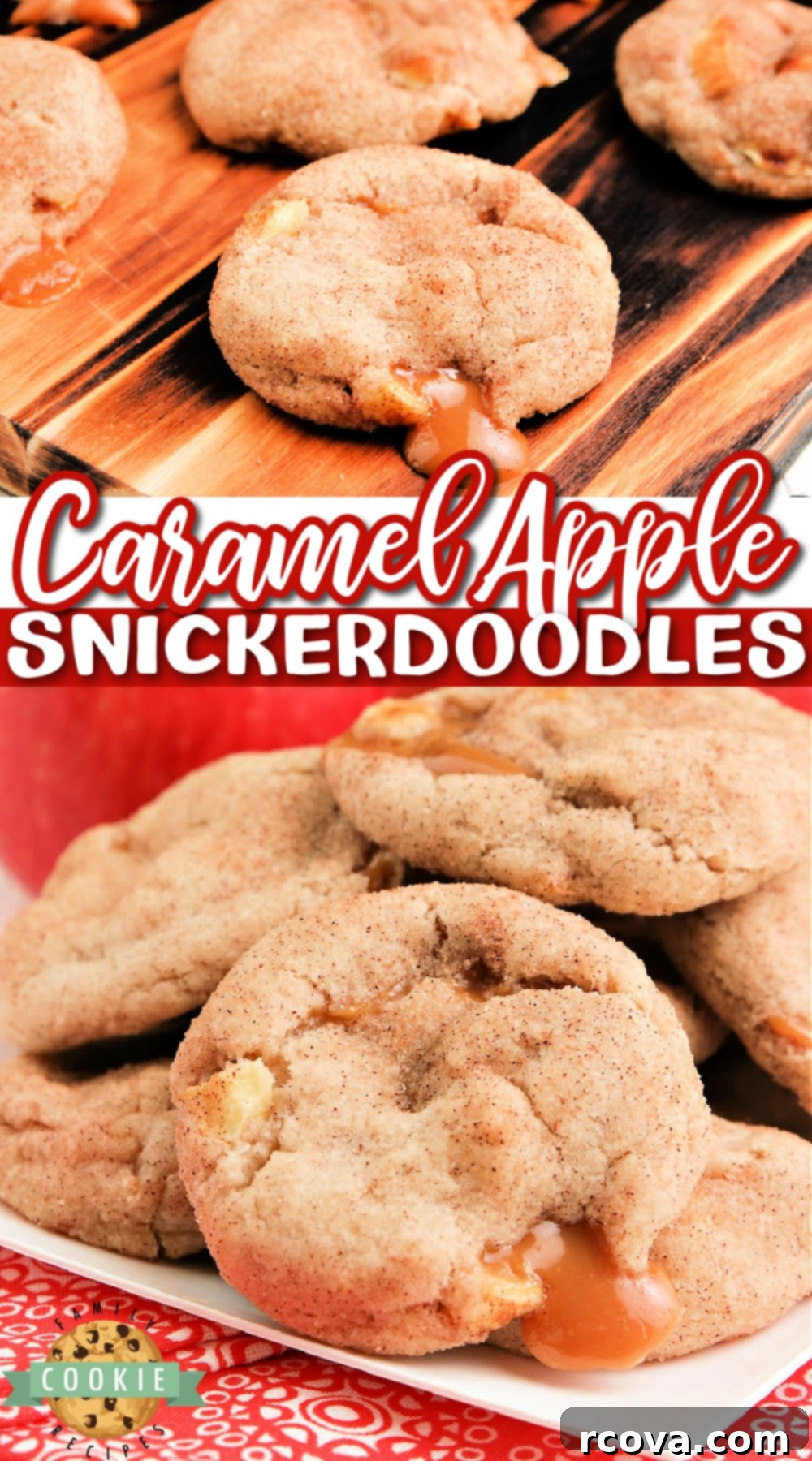 Caramel Apple Snickerdoodles 10 A tray of warm, freshly baked Caramel Apple Snickerdoodles, ready to be enjoyed as a perfect fall treat.