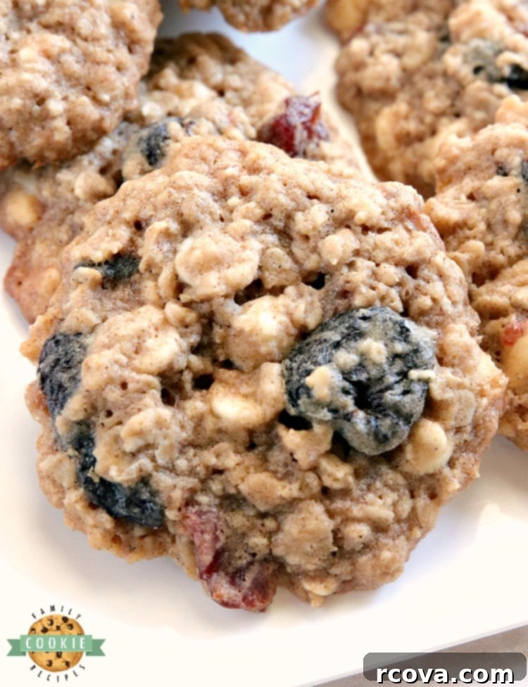Velvet Cherry Oat Delights 2 Delicious White Chocolate Cherry Oatmeal Cookies fresh out of the oven, showcasing their soft texture and delightful mix of ingredients.