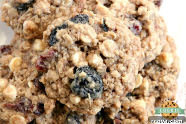Velvet Cherry Oat Delights 3 Close-up of freshly baked White Chocolate Cherry Oatmeal Cookies, highlighting the chewy texture and generous distribution of white chocolate and cherries.