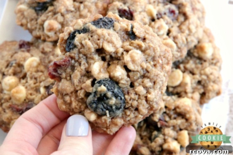 Velvet Cherry Oat Delights 4 Bowl of old-fashioned rolled oats, ready to be added to the white chocolate cherry oatmeal cookie dough for a chewy texture.
