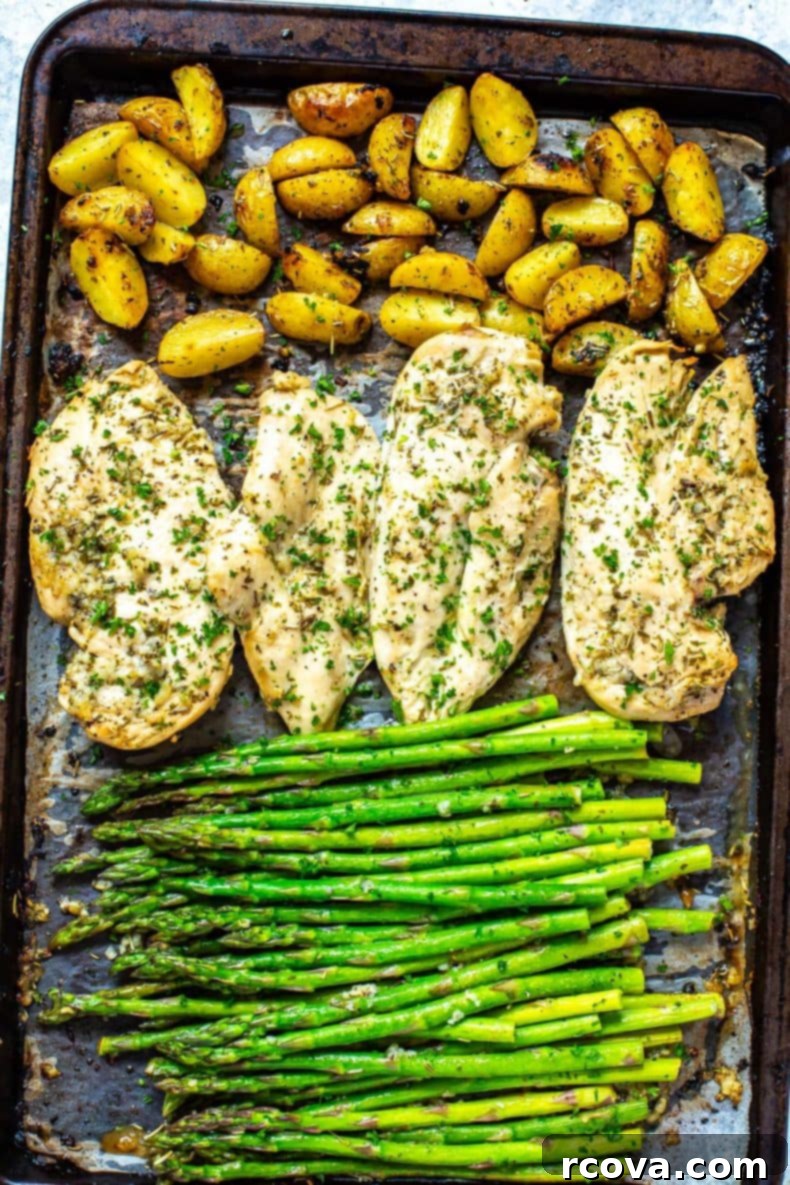 Golden Chicken and Asparagus Roast 3 Close-up of roasted chicken and asparagus, seasoned with herbs and lemon, on a baking sheet, highlighting the golden-brown chicken and vibrant green asparagus.