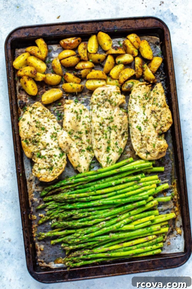 Golden Chicken and Asparagus Roast 7 A top-down view of a sheet pan filled with golden-brown roasted chicken, tender asparagus, and seasoned baby potatoes, fresh out of the oven.