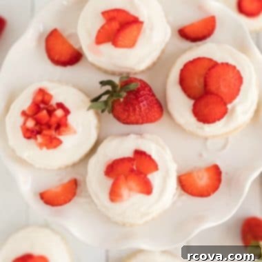 Strawberry Shortcake Dream Cookies 10 Strawberry Shortcakes Cookie recipe