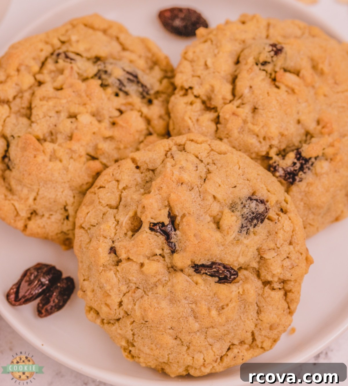 Irresistible Oatmeal Raisin Cookies 4 soft chewy oatmeal raisin cookies