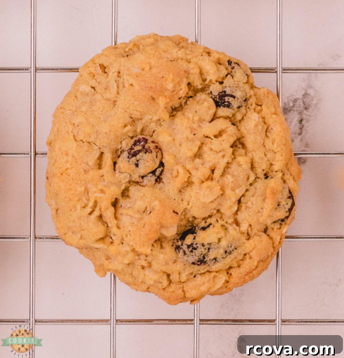 Irresistible Oatmeal Raisin Cookies 5 single oatmeal raisin cookie with cinnamon and allspice