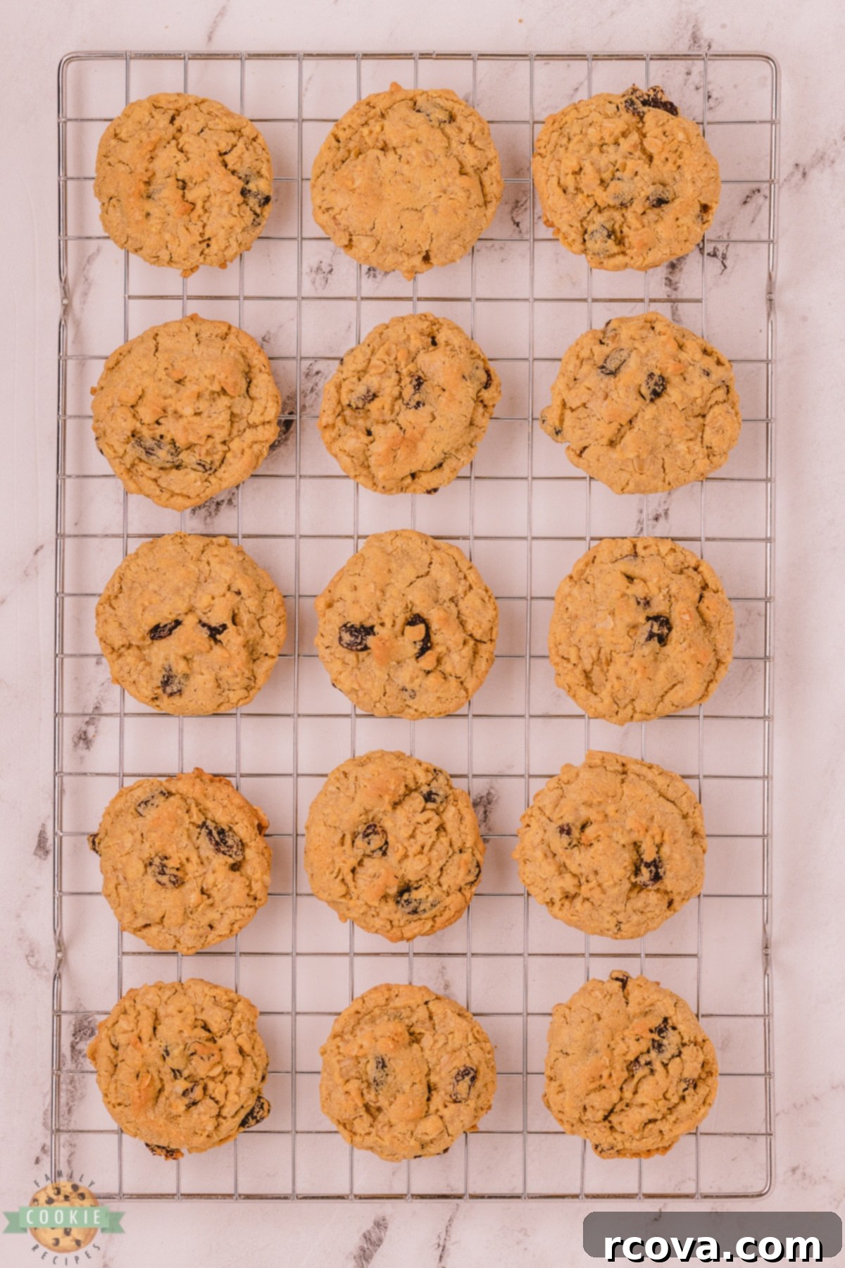 Irresistible Oatmeal Raisin Cookies 7 oatmeal raisin cookies on a cooling rack