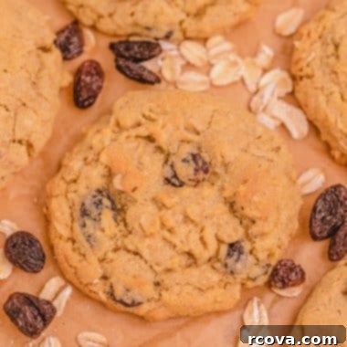 Irresistible Oatmeal Raisin Cookies 8 best oatmeal raisin cookies with cinnamon