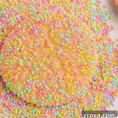 Colorful Easter Cookie Delights 9 Easter Sprinkle Cookies are a great way to celebrate the holiday with a sweet treat. The colorful sprinkles on a soft and chewy sugar cookie make for a delicious snack that looks as good as it tastes!