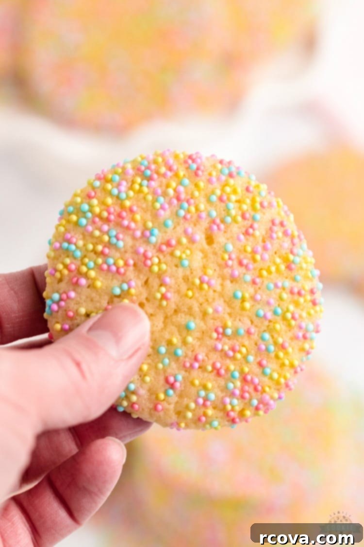 Colorful Easter Cookie Delights 10 Easter Sprinkle Cookies are a great way to celebrate the holiday with a sweet treat. The colorful sprinkles on a soft and chewy sugar cookie make for a delicious snack that looks as good as it tastes!