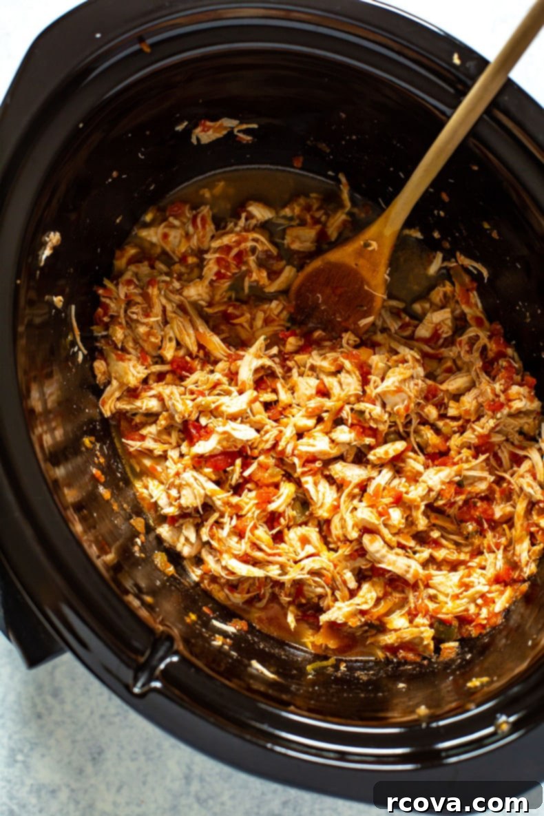 Healthy Crockpot Dump Dinners 14 Overhead shot of plated dish of salsa chicken