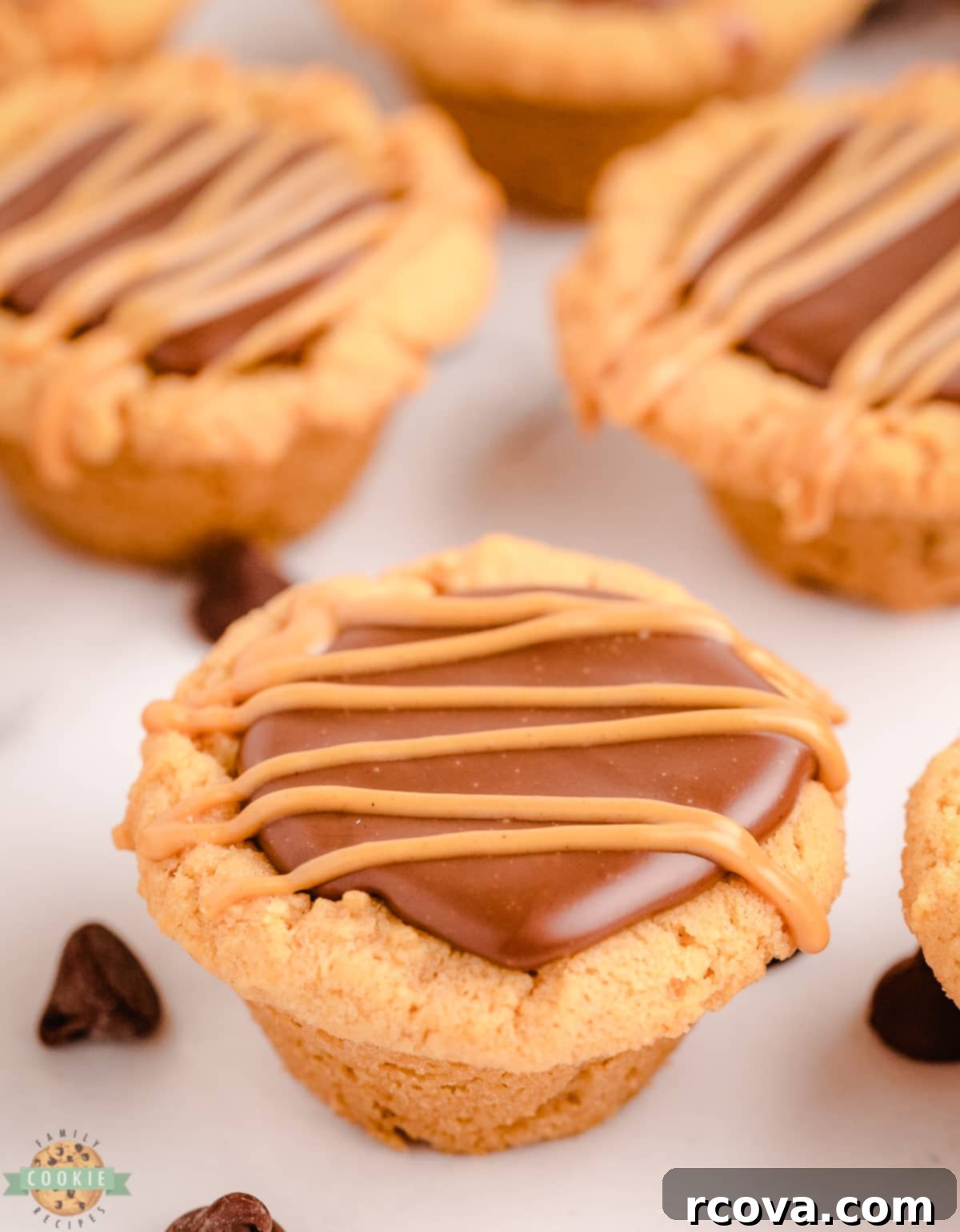 Decadent Peanut Butter Fudge Cookie Cups 12 fudge filled cookie cups