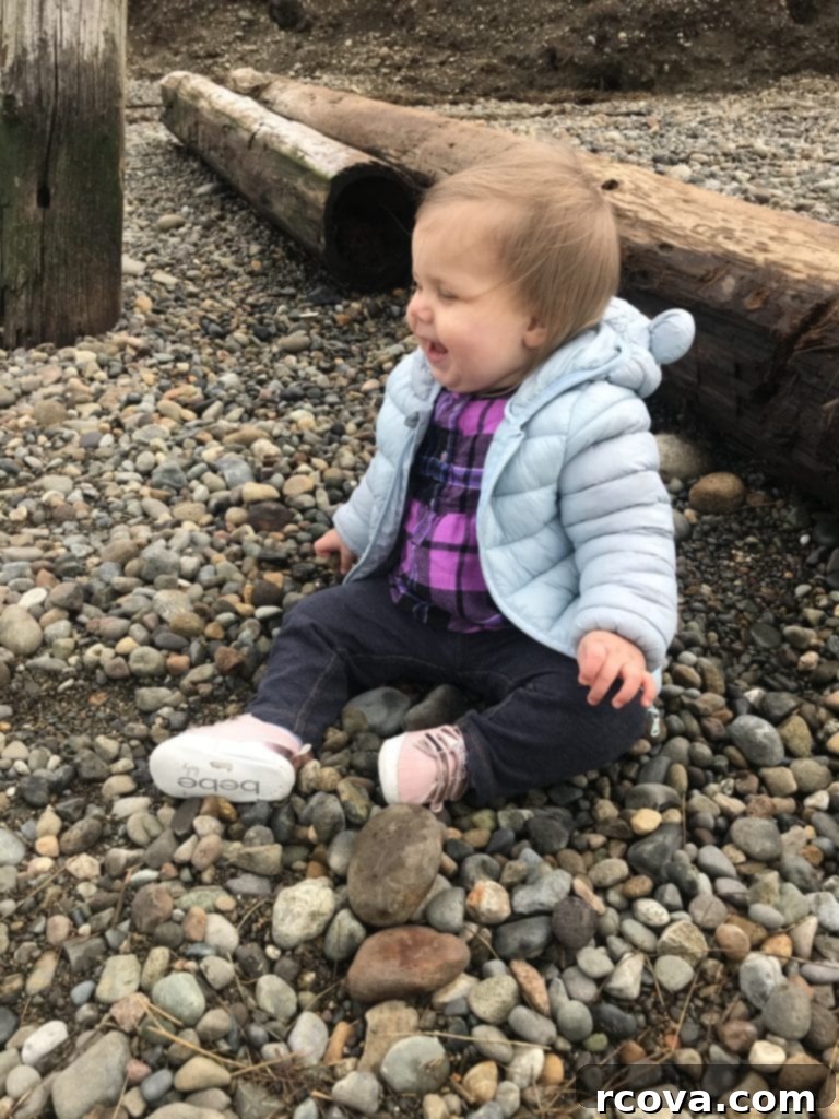 Delicious Sugar Cookie Bars 12 A baby joyfully playing on a rocky beach, bundled in warm clothing.
