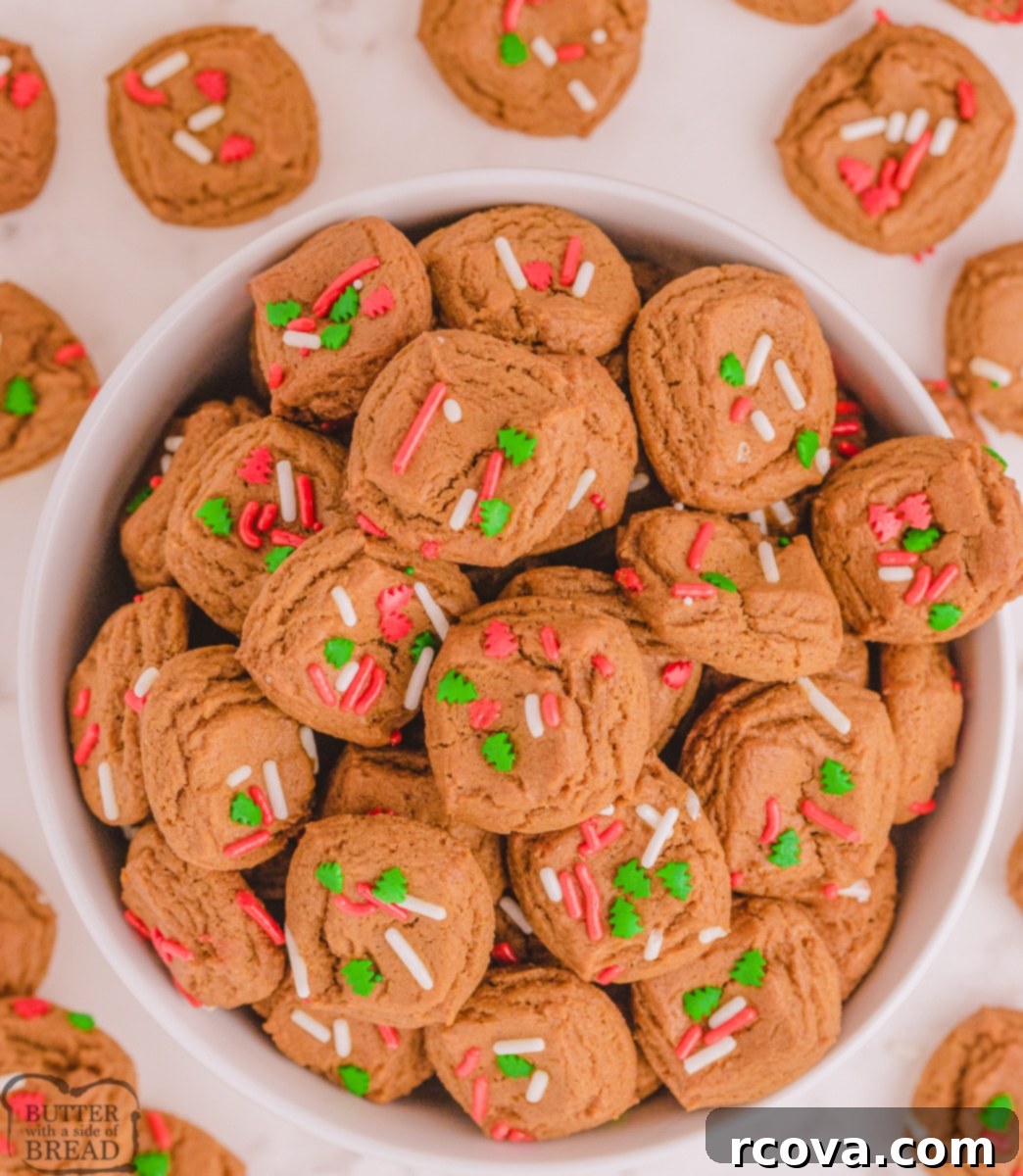 Warm Gingerbread Delights 12 Chewy bite-sized gingerbread cookie bites, perfect for sharing