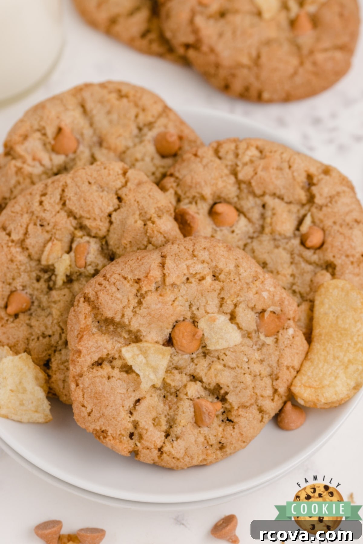 Salty Sweet Cookie Crunch 2 Delicious Potato Chip Cookies stacked on a white plate