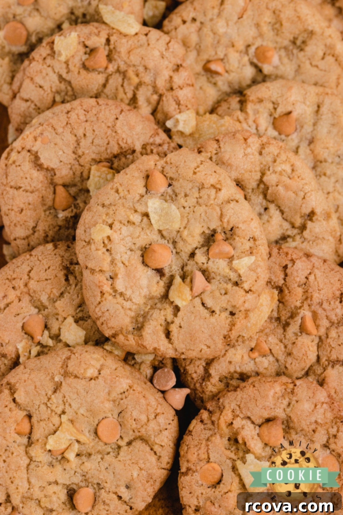 Salty Sweet Cookie Crunch 12 A plate of freshly baked Potato Chip Cookies, highlighting the unique salty-sweet combination