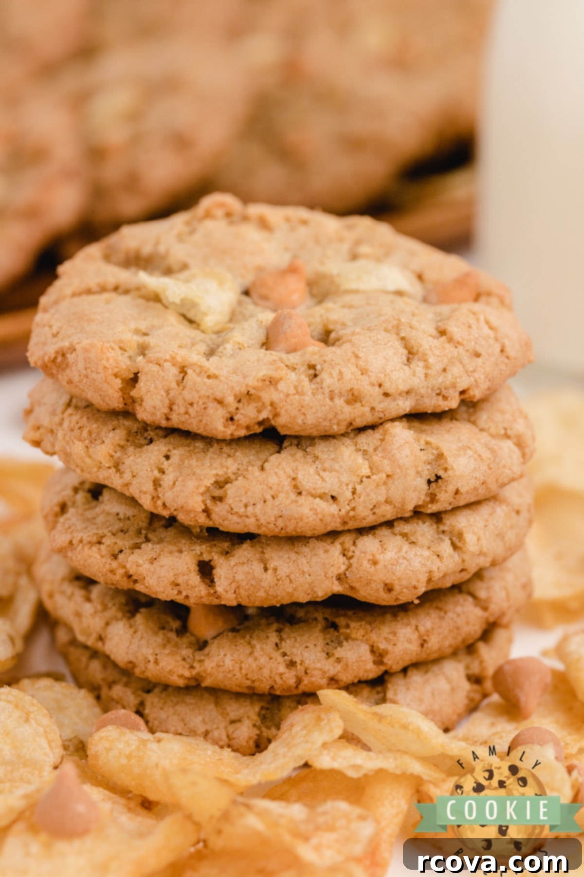 Salty Sweet Cookie Crunch 7 Freshly baked Potato Chip Cookies with visible butterscotch and potato chip pieces