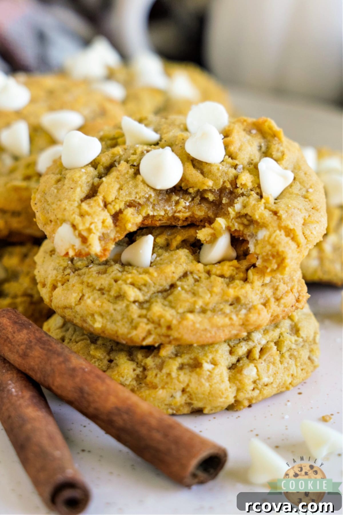 Golden Pumpkin White Chocolate Oat Jewels 2 Soft, chewy White Chocolate Chip Pumpkin Oatmeal Cookies, perfect for fall baking and featuring a delicious blend of pumpkin, oatmeal, and sweet white chocolate chips.