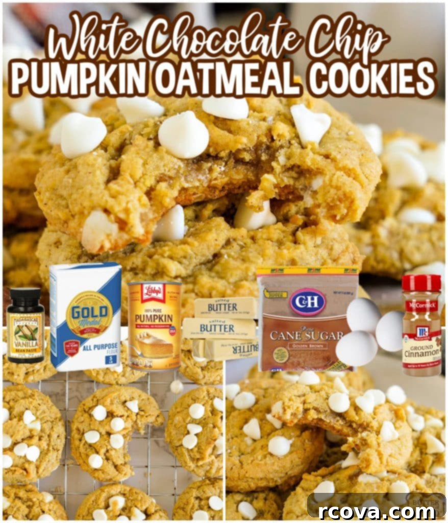 Golden Pumpkin White Chocolate Oat Jewels 12 A vibrant collage showcasing soft, chewy White Chocolate Chip Pumpkin Oatmeal Cookies, ideal for fall gatherings and family treats.