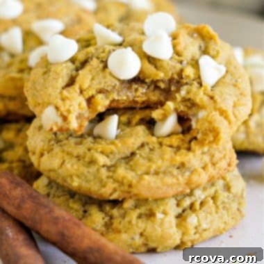 Golden Pumpkin White Chocolate Oat Jewels 13 White Chocolate Chip Pumpkin Oatmeal Cookies