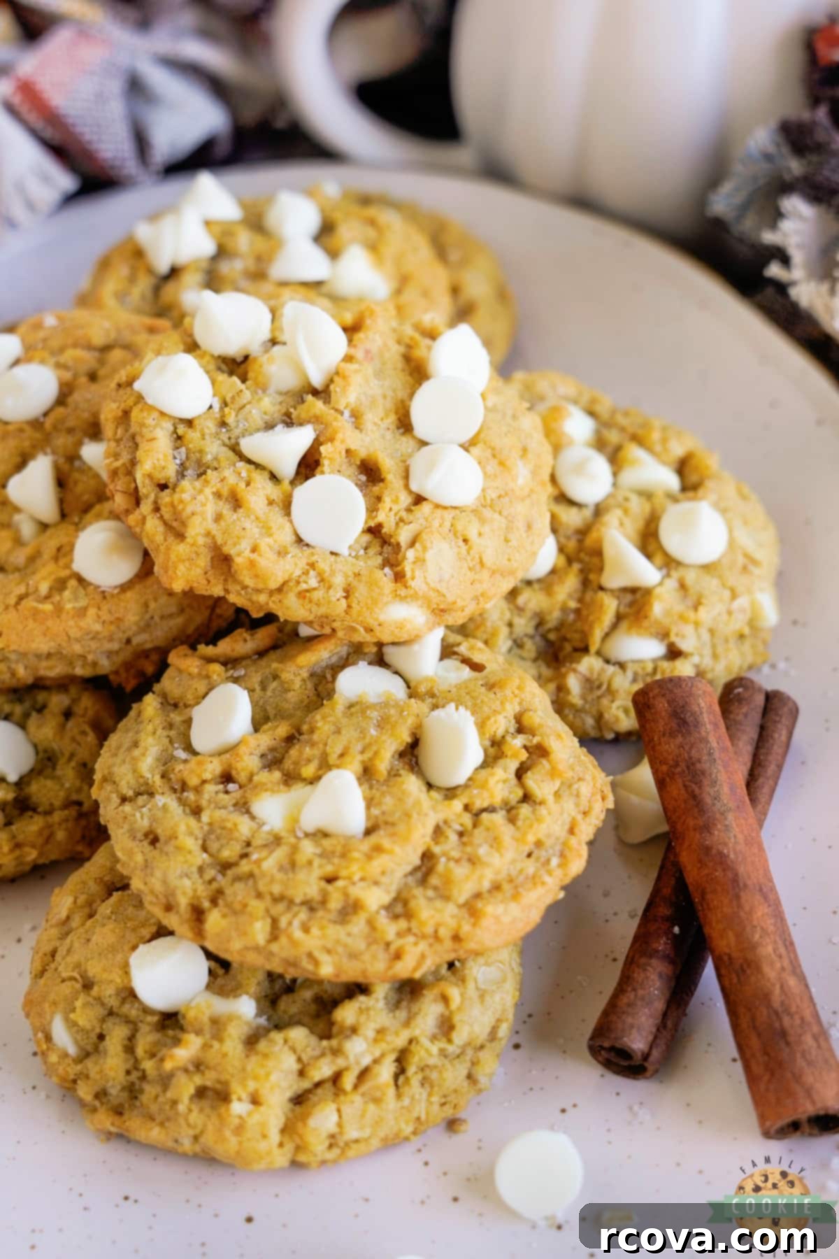 Golden Pumpkin White Chocolate Oat Jewels 14 A plate of freshly baked pumpkin oatmeal cookies with white chocolate chips, arranged invitingly for serving or storing.