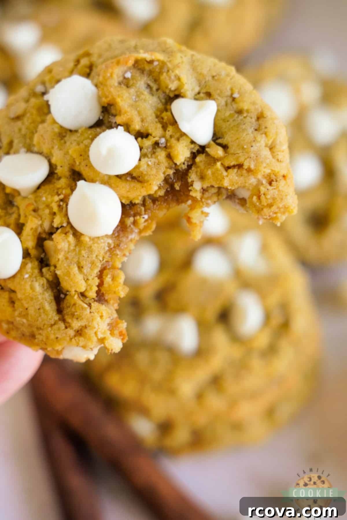 Golden Pumpkin White Chocolate Oat Jewels 15 Individual pumpkin cookies studded with white chocolate chips on a patterned plate, ready to be enjoyed.