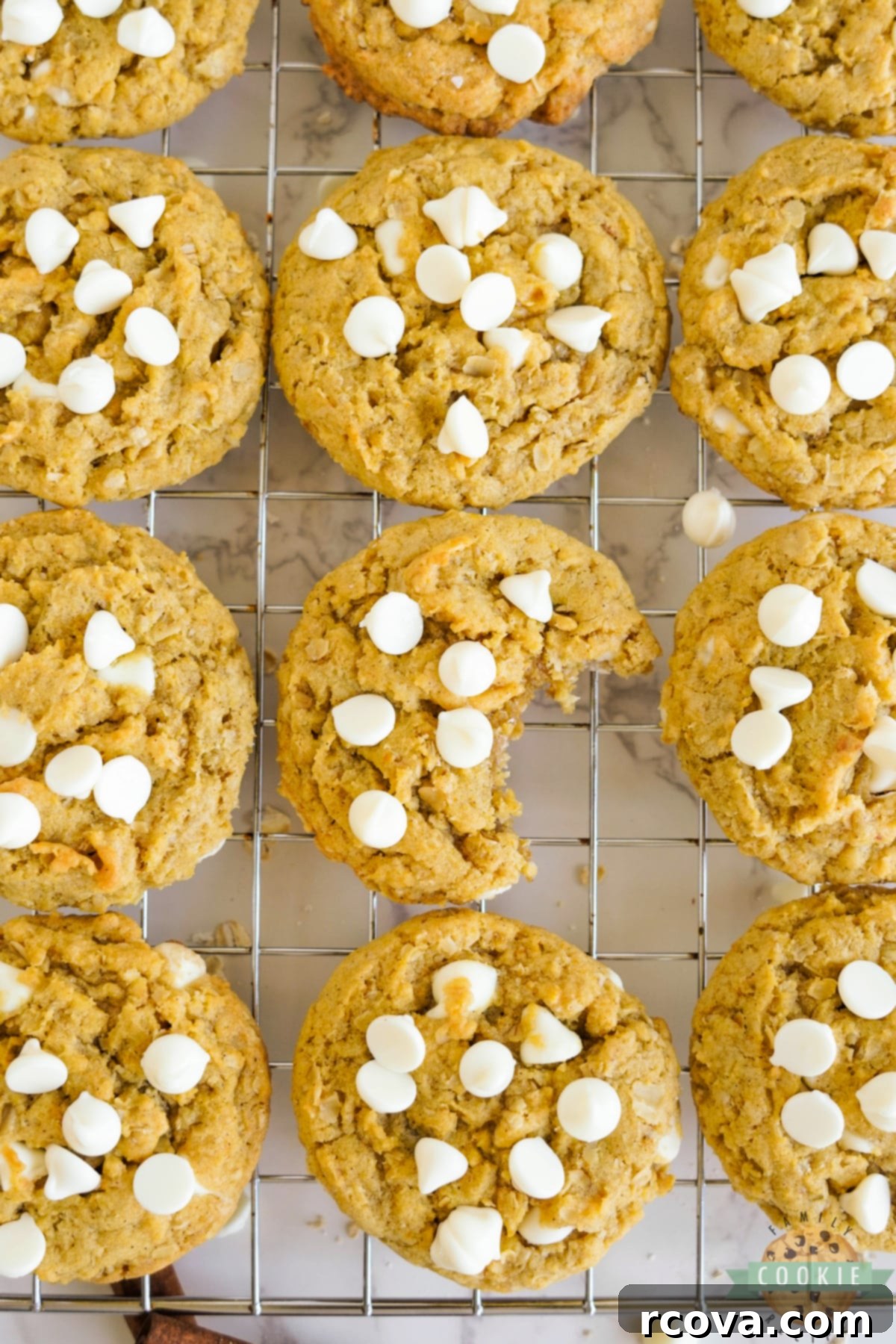 Golden Pumpkin White Chocolate Oat Jewels 3 Close-up of freshly baked pumpkin cookies with oats and white chocolate chips, showcasing their soft texture and delicious mix-ins.
