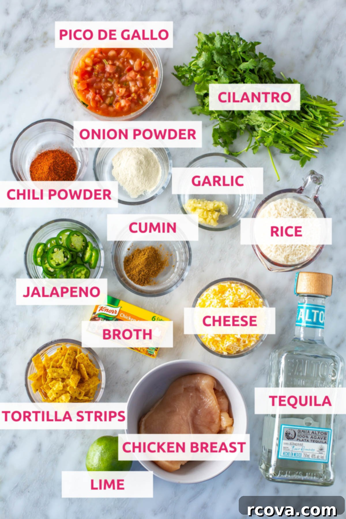 Tequila Lime Chicken Just Like Applebees 3 All the vibrant ingredients laid out for tequila lime chicken: fresh pico de gallo, green cilantro, cooked rice, a shot of tequila, chicken breast, whole limes, crunchy tortilla strips, shredded cheese, chicken broth, sliced jalapeno, minced garlic, and ground cumin, chili powder, and onion powder.