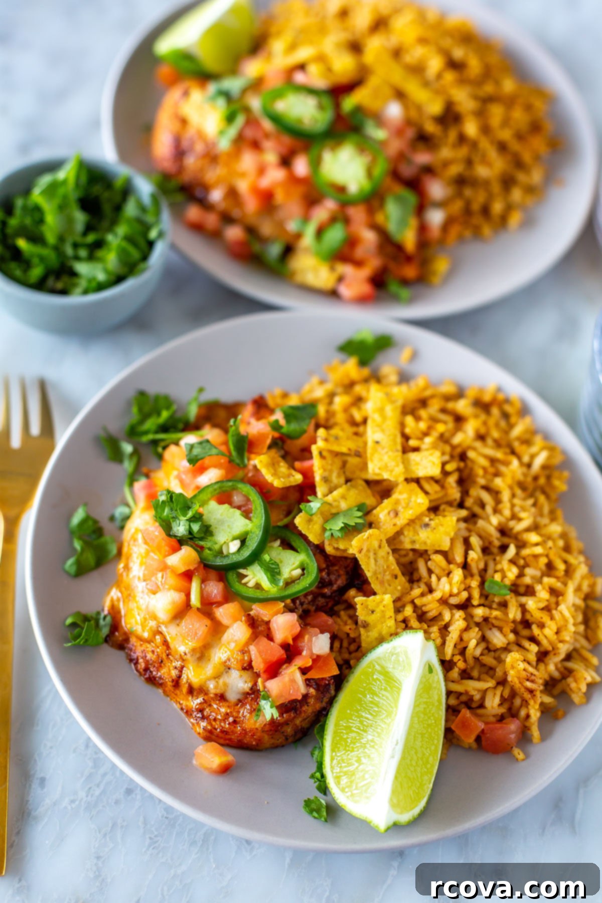 This Tequila Lime Chicken is a delightful and flavourful Tex Mex dinner idea that perfectly doubles as a convenient and tasty weekly meal prep option for easy lunches. A close-up shot of a single plate of homemade tequila lime chicken, showcasing the rich colors and textures of the chicken and toppings.