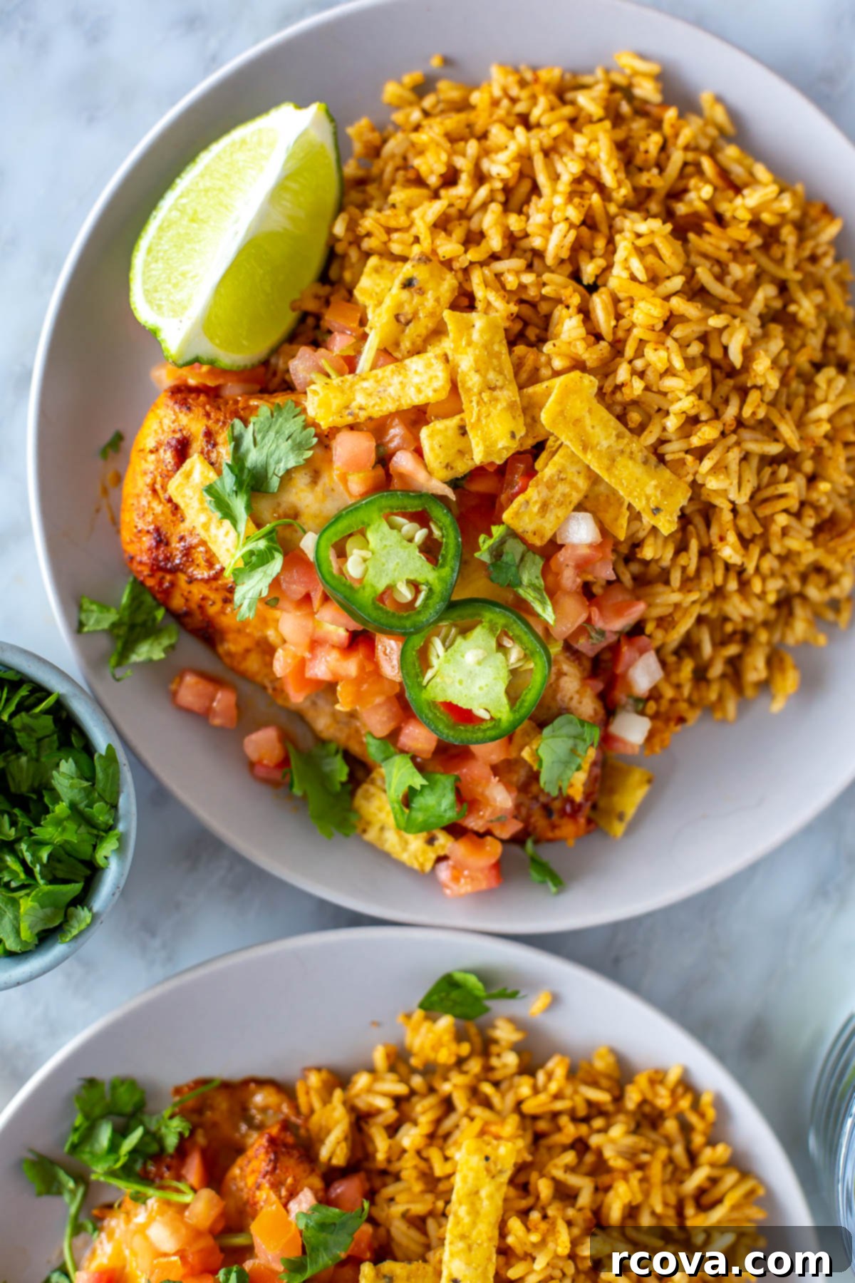 This Tequila Lime Chicken is a delightful and flavourful Tex Mex dinner idea that perfectly doubles as a convenient and tasty weekly meal prep option for easy lunches. A close-up shot of a single plate of delicious tequila lime chicken, ready to be enjoyed.