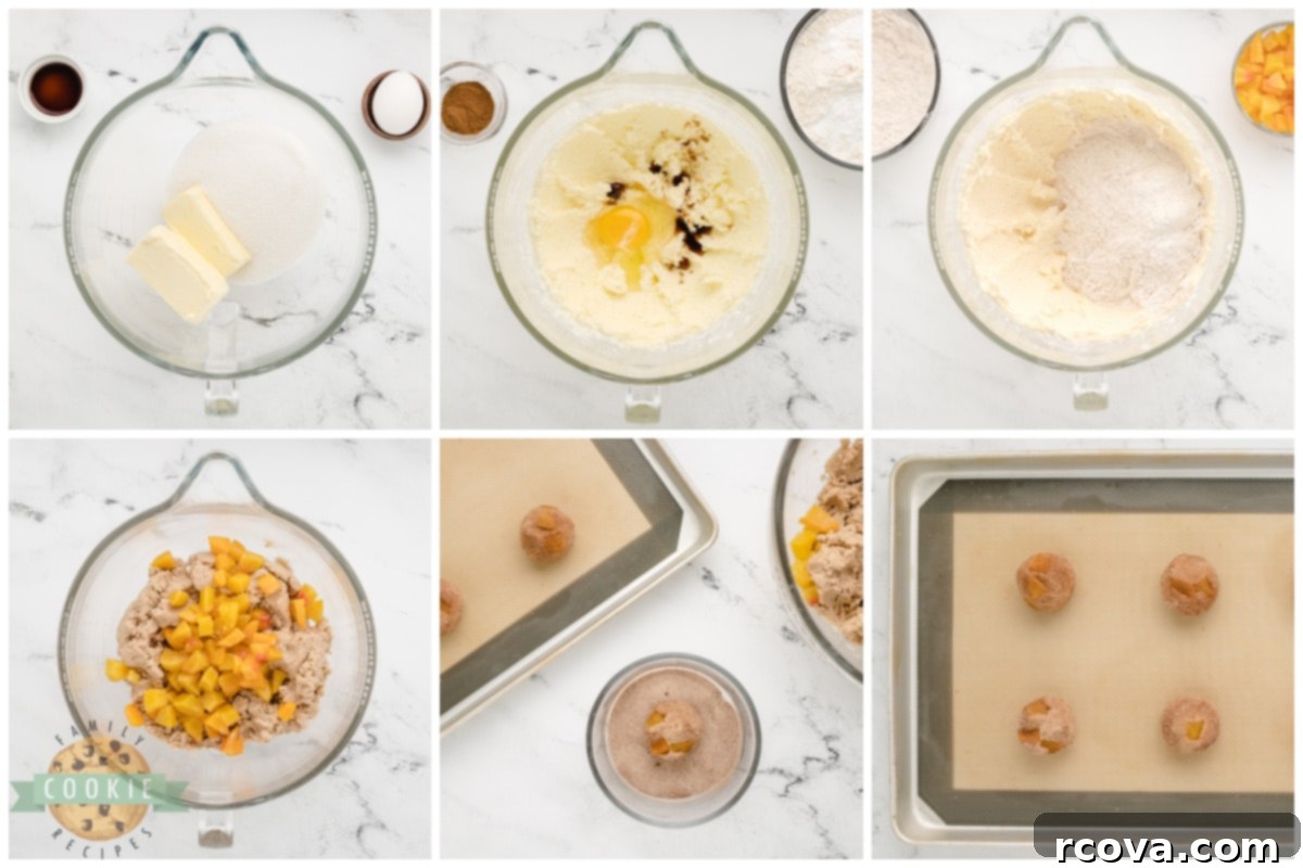 Golden Peach Snickerdoodle Delights 5 A step-by-step visual guide showing the process of making Peach Snickerdoodle Cookies, from dough to baked perfection