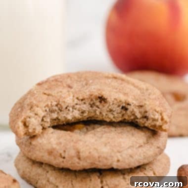 Golden Peach Snickerdoodle Delights 7 Final delicious Peach Snickerdoodle Cookie ready to be served