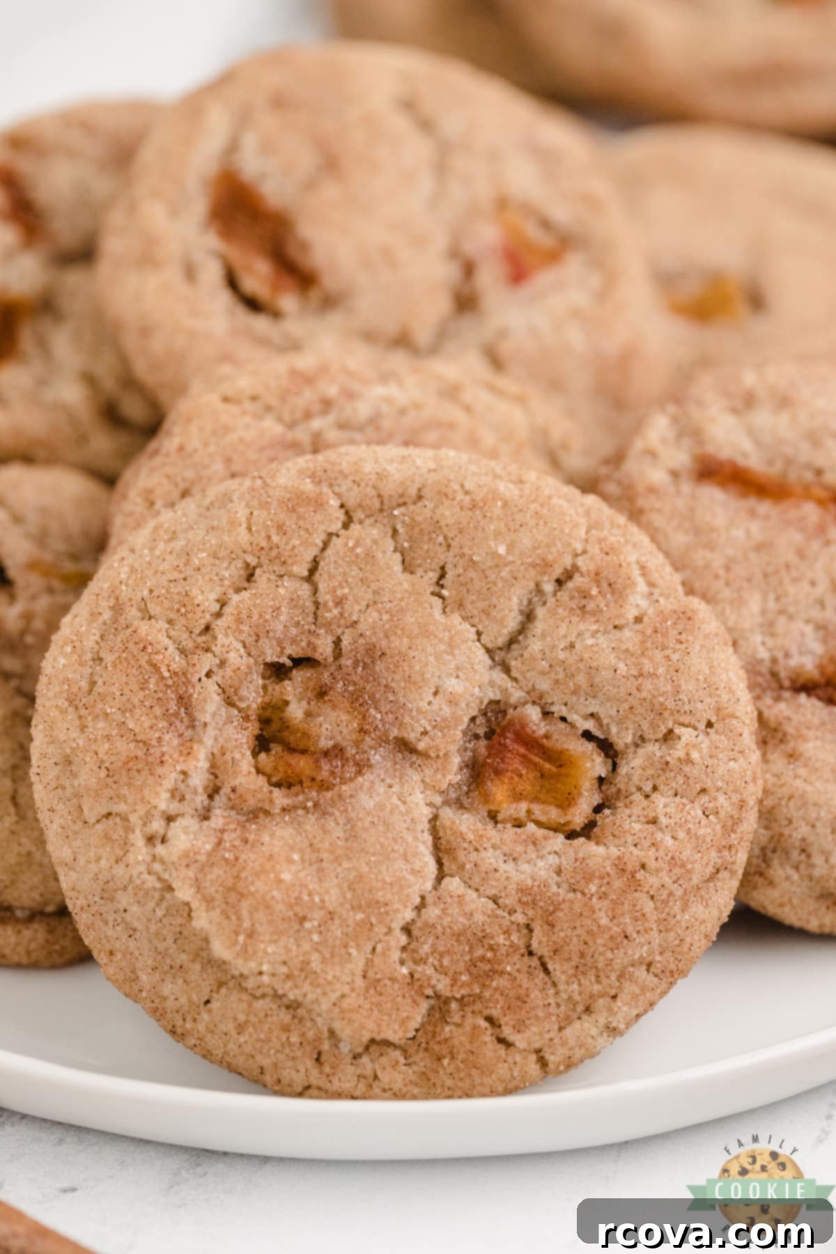 Golden Peach Snickerdoodle Delights 9 A stack of soft and chewy Peach Snickerdoodle Cookies, showing their golden brown edges and classic texture