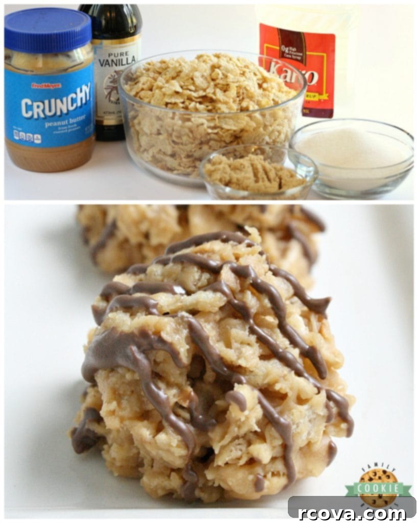 No Bake Peanut Butter Treats 3 Ingredients and step-by-step instructions on making Peanut Butter No-Bake Cookies.