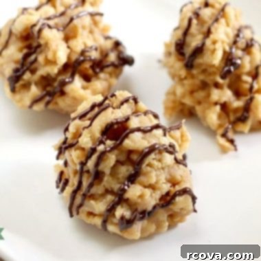 No Bake Peanut Butter Treats 4 A plate of crunchy Peanut Butter No-Bake Cookies with a chocolate drizzle.