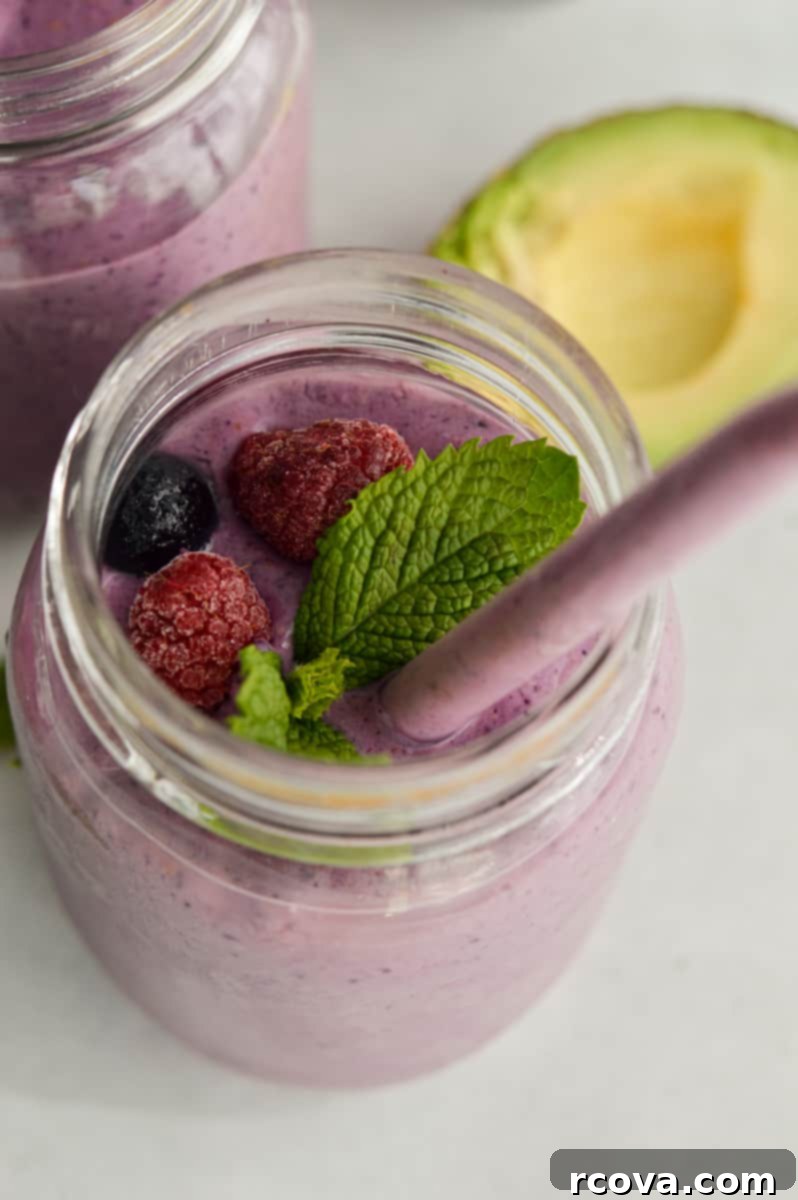 Power-Packed Protein Blends for Wellness 23 Berry High Fiber Smoothie via Nourished by Nic, supporting gut health.