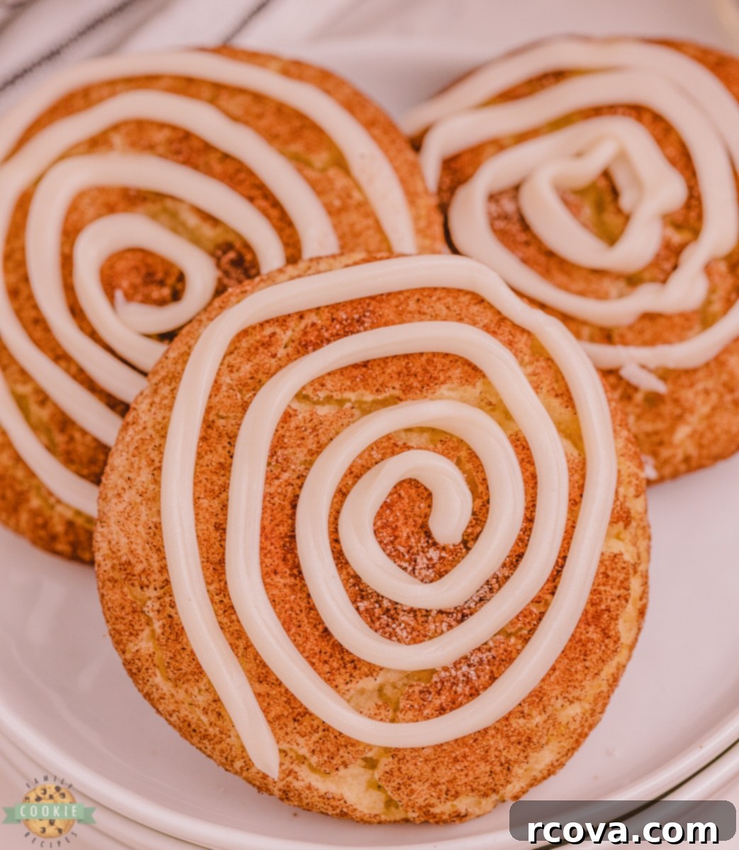 Cinnamon Swirl Doodles 2 snickerdoodles with a vanilla swirl on top