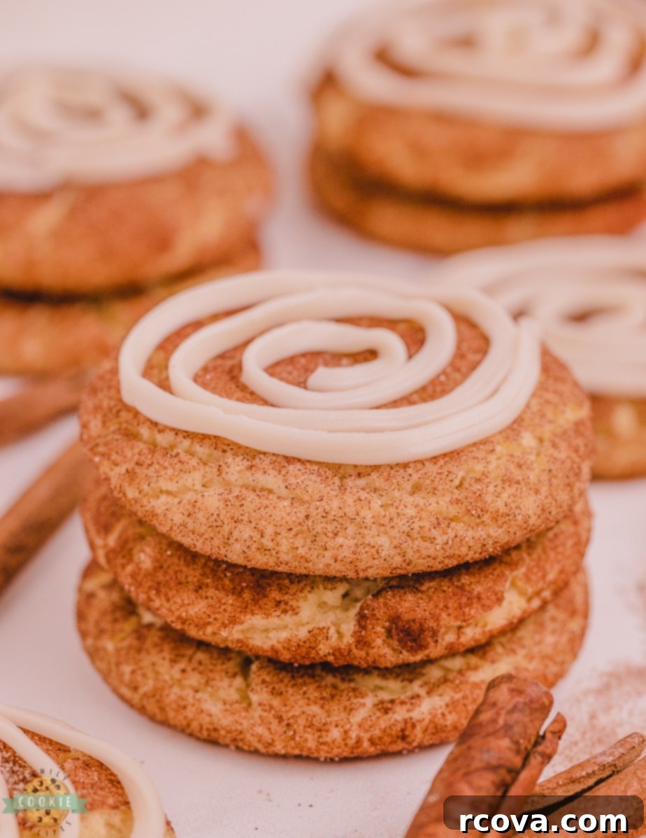 Cinnamon Swirl Doodles 11 stack of cinnamon roll snickerdoodles