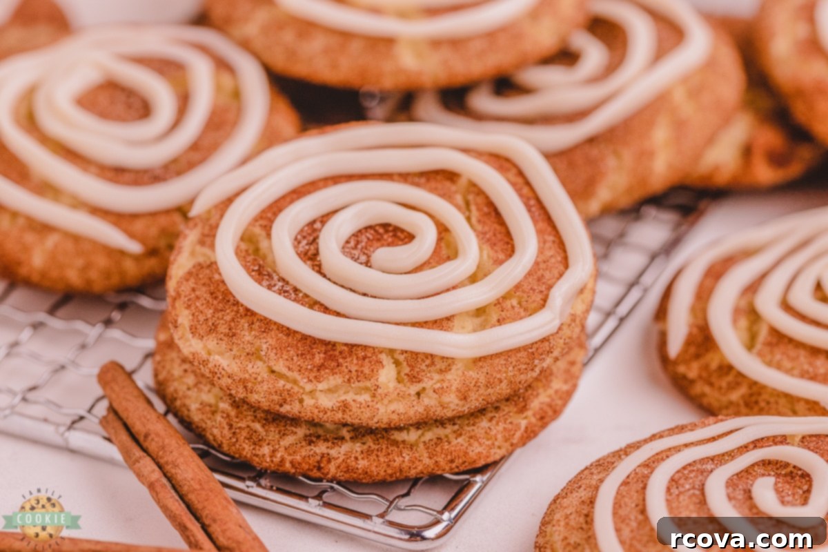 Cinnamon Swirl Doodles 12 snickerdoodles with a vanilla swirl of icing