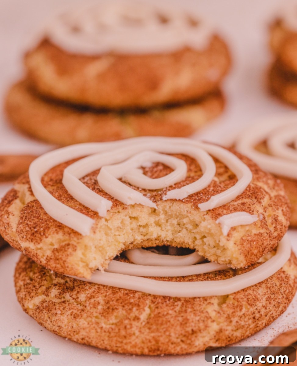 Cinnamon Swirl Doodles 3 bite out of a cinnamon roll snickerdoodle