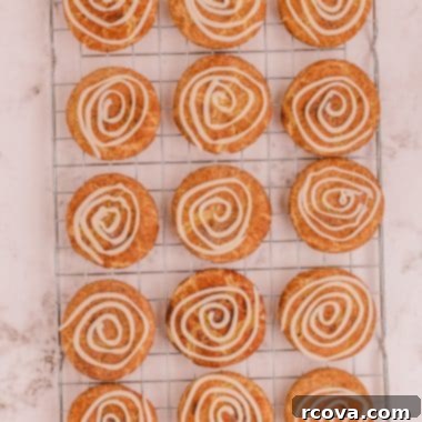 Cinnamon Swirl Doodles 10 cinnamon roll snickerdoodles on a cooling rack