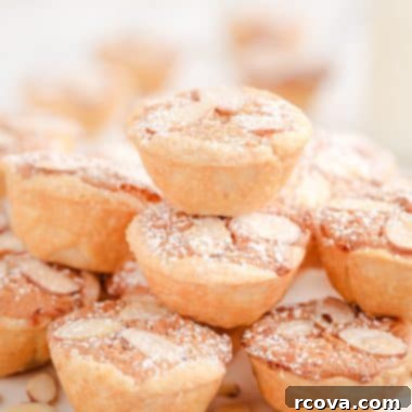 Dutch Almond Cookie Bites 6 Dutch Almond Cookie Cups dusted with powdered sugar