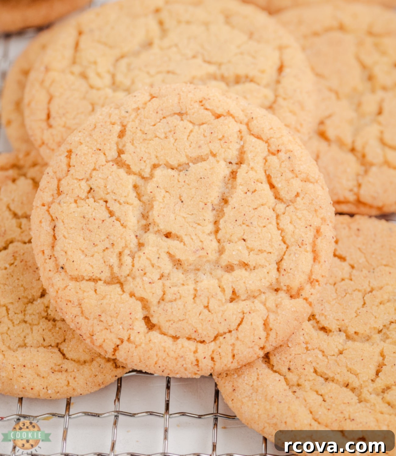 Toasted Butter Cardamom Sweets 3 sugar cookies made with brown butter and spiced with cardamom
