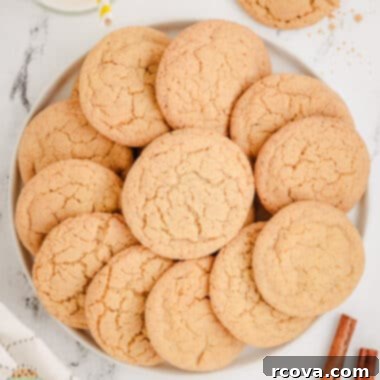Toasted Butter Cardamom Sweets 6 cinnamon brown butter cardamom cookies on a circle plate