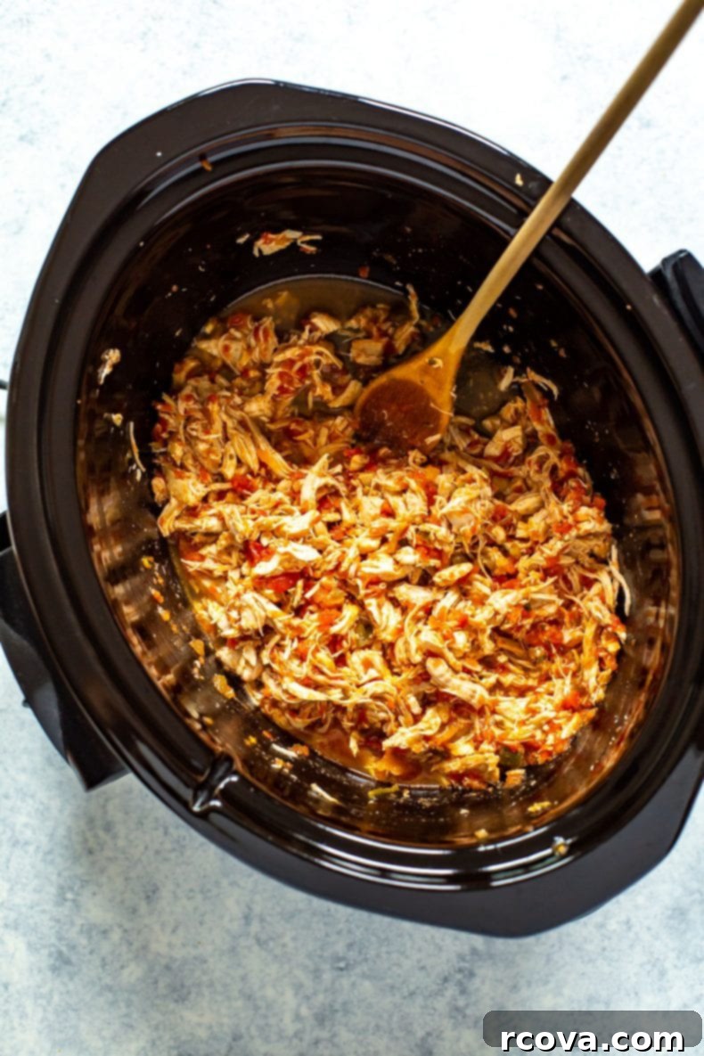 Effortless Two Ingredient Salsa Chicken 4 Tender shredded 2-Ingredient Crockpot Salsa Chicken served in a tortilla with fresh toppings.