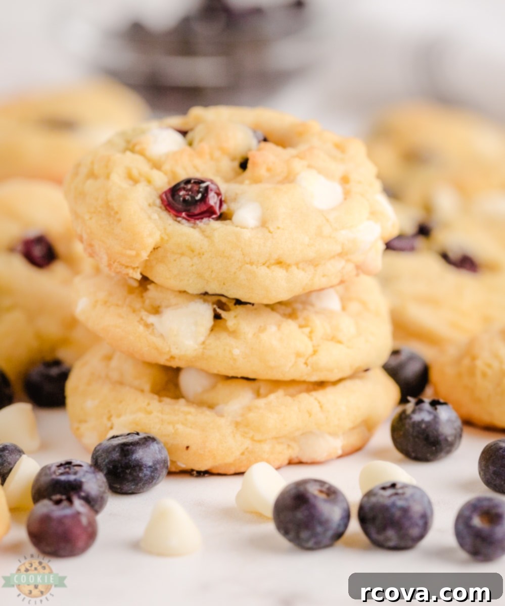 Blueberry Velvet Dreams 2 Freshly baked Blueberry Cream Cookies with a soft, chewy texture and visible blueberries and white chocolate chips.