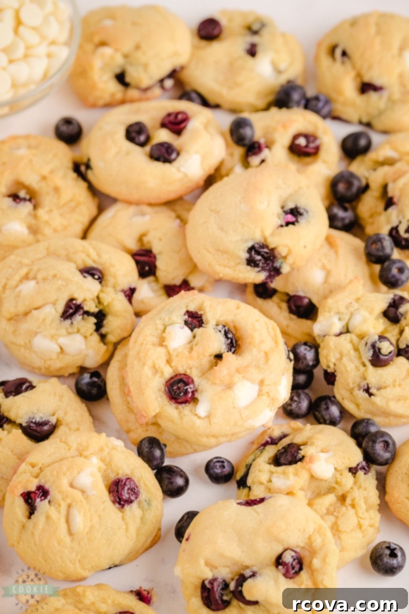 Blueberry Velvet Dreams 3 Close-up of baked Blueberry Cream Cookies showing fresh blueberries and melted white chocolate chips.