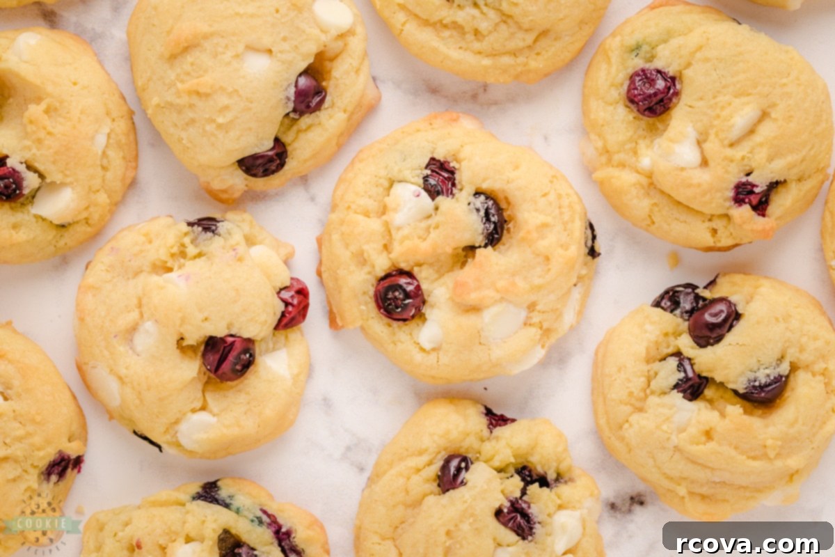 Blueberry Velvet Dreams 4 Ingredients for Blueberry Cream Cookies laid out on a baking surface: flour, sugar, butter, egg, sour cream, pudding mix, baking soda, salt, white chocolate chips, and fresh blueberries.