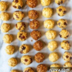 Quick No-Bake Protein Bites: Five Delicious Flavors 9 Protein Balls 5 Ways - Assorted protein balls