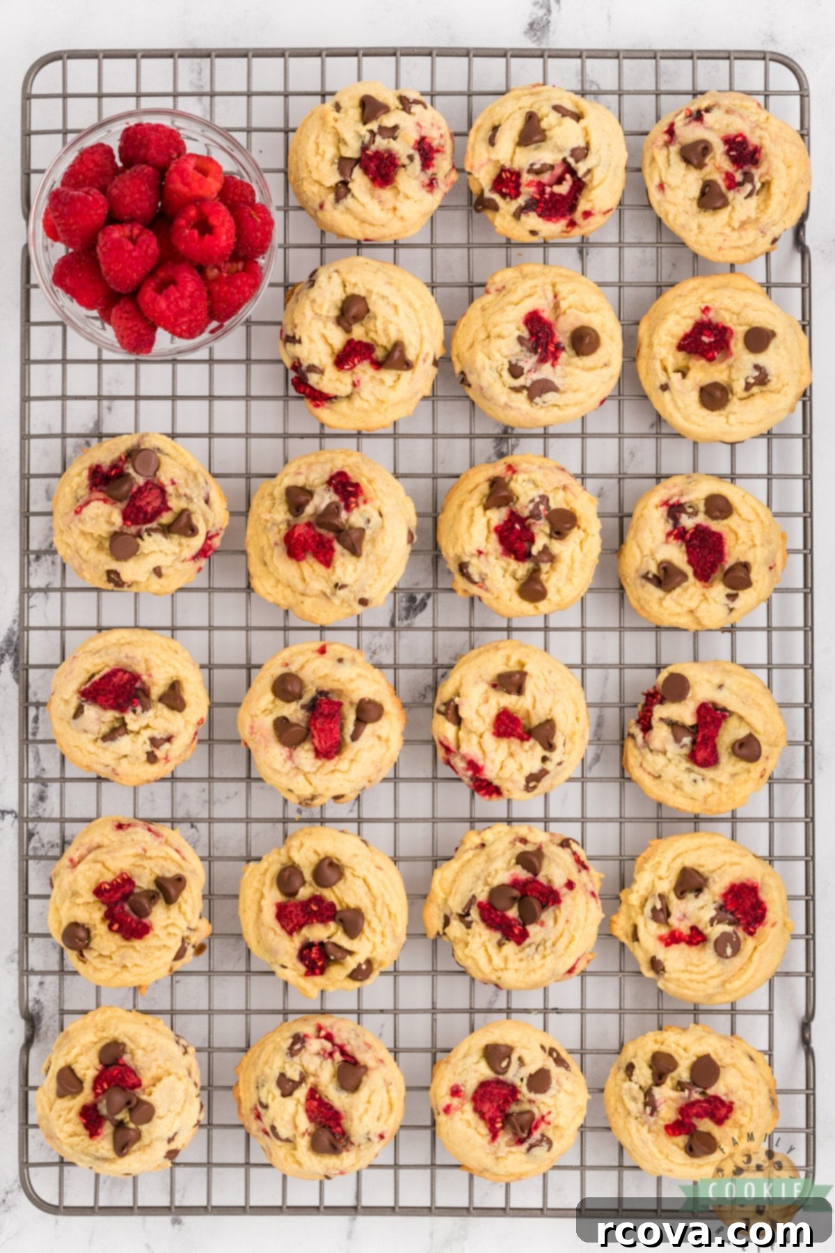 Sweet-Tart Raspberry Chocolate Chip Cookies 11 Perfectly baked Raspberry Chocolate Chip Cookies with a soft and chewy texture